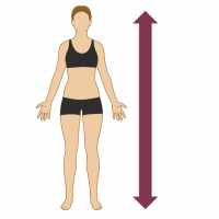 Шина фиксирующая коленного сустава с флексией 20 градусов Ortex ОРТЕКС 05A